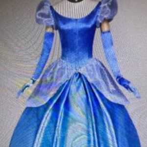 Halloween Costume - Cinderella